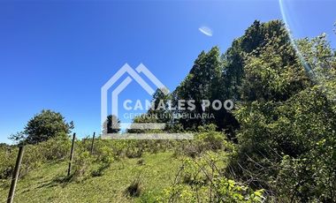 Campo Hermoso camino Panguipulli Los Lagos