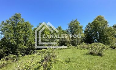 Campo Hermoso camino Panguipulli Los Lagos