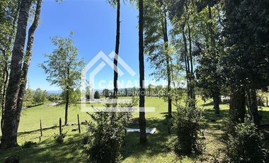 Campo Hermoso camino Panguipulli Los Lagos