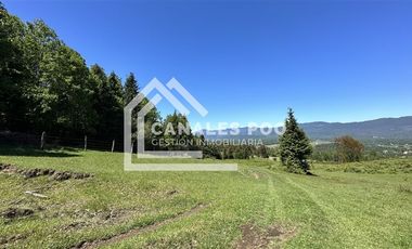Campo Hermoso camino Panguipulli Los Lagos