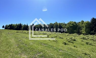 Campo Hermoso camino Panguipulli Los Lagos