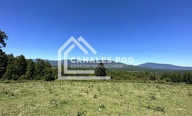 Campo Hermoso camino Panguipulli Los Lagos