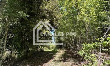 Campo Hermoso camino Panguipulli Los Lagos