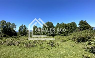 Campo Hermoso camino Panguipulli Los Lagos