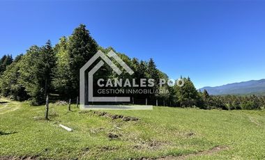 Campo Hermoso camino Panguipulli Los Lagos