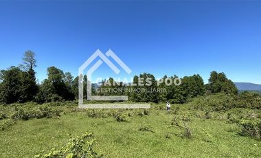 Campo Hermoso camino Panguipulli Los Lagos