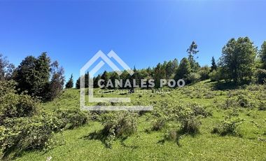 Campo Hermoso camino Panguipulli Los Lagos