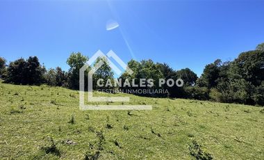 Campo Hermoso camino Panguipulli Los Lagos