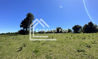 Campo Hermoso camino Panguipulli Los Lagos