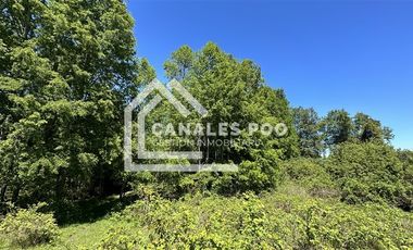 Campo Hermoso camino Panguipulli Los Lagos