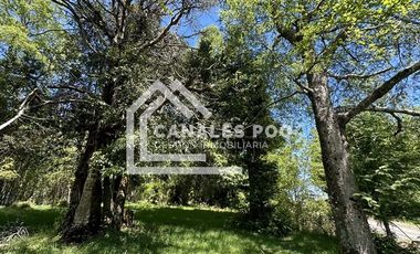 Campo Hermoso camino Panguipulli Los Lagos