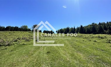 Campo Hermoso camino Panguipulli Los Lagos