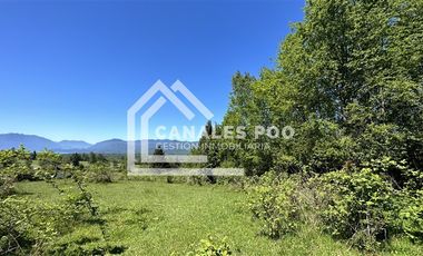 Campo Hermoso camino Panguipulli Los Lagos