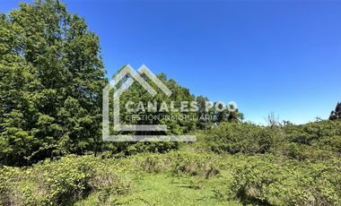 Campo Hermoso camino Panguipulli Los Lagos