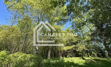 Campo Hermoso camino Panguipulli Los Lagos