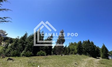 Campo Hermoso camino Panguipulli Los Lagos