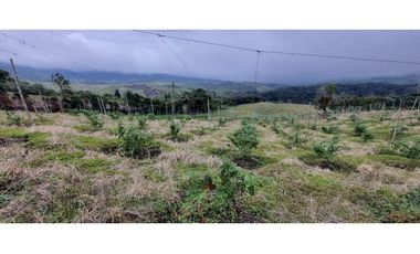 Finca agroindustrial ubicada en el municipio de La Unión Antioquia