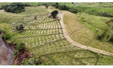 Finca agroindustrial ubicada en el municipio de La Unión Antioquia