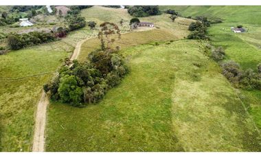 Finca agroindustrial ubicada en el municipio de La Unión Antioquia