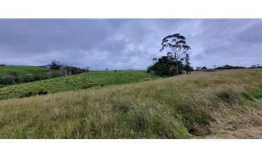Finca agroindustrial ubicada en el municipio de La Unión Antioquia