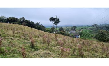 Finca agroindustrial ubicada en el municipio de La Unión Antioquia