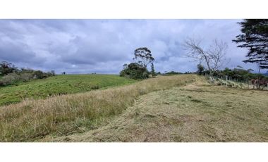 Finca agroindustrial ubicada en el municipio de La Unión Antioquia
