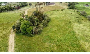 Finca agroindustrial ubicada en el municipio de La Unión Antioquia