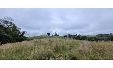 Finca agroindustrial ubicada en el municipio de La Unión Antioquia