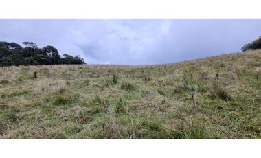 Finca agroindustrial ubicada en el municipio de La Unión Antioquia