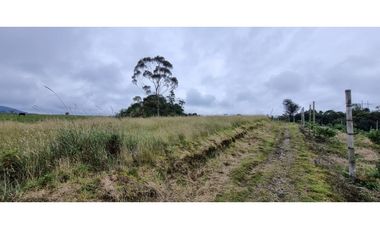 Finca agroindustrial ubicada en el municipio de La Unión Antioquia