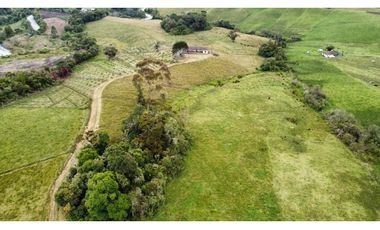 Finca agroindustrial ubicada en el municipio de La Unión Antioquia