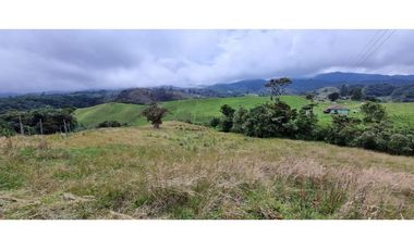 Finca agroindustrial ubicada en el municipio de La Unión Antioquia