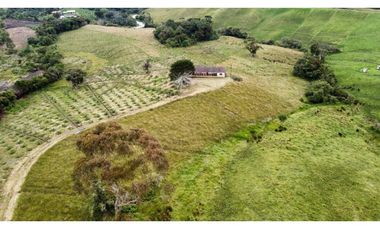 Finca agroindustrial ubicada en el municipio de La Unión Antioquia
