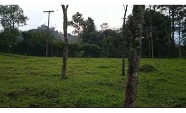 OPORTUNIDAD DE INVERSION, LOTE EN VENTA, SALENTO QUINDIO