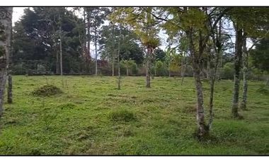 OPORTUNIDAD DE INVERSION, LOTE EN VENTA, SALENTO QUINDIO