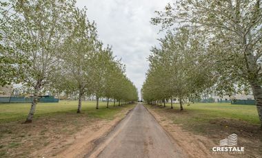 Terreno - Haras de Funes