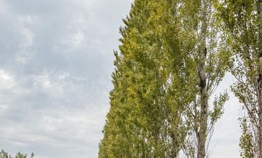 Terreno - Haras de Funes