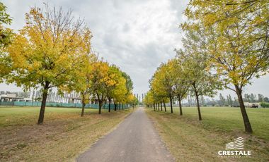 Terreno - Haras de Funes