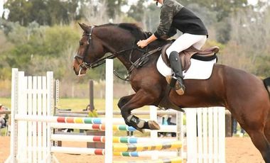 GLM. Venta Lote San Sebastian Area 12