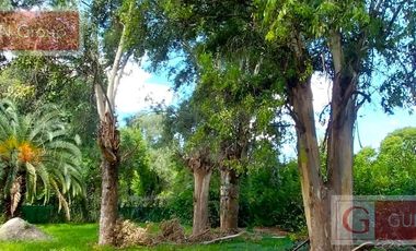 Alquiler en zona La Bota Maschwitz,  2 dorm , gran parque c/ pileta, disp de junio a diciembre 25