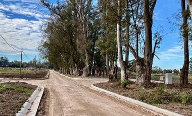 Venta Lote Interno Santa Sofia, Pilar del Este