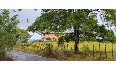 Se Vende Finca Ganadera de 1620 Hectáreas en Cañita de Chepo