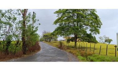 Se Vende Finca Ganadera de 1620 Hectáreas en Cañita de Chepo