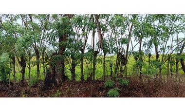 Se Vende Finca Ganadera de 1620 Hectáreas en Cañita de Chepo