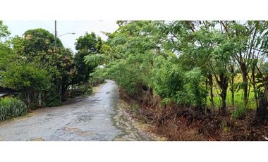 Se Vende Finca Ganadera de 1620 Hectáreas en Cañita de Chepo