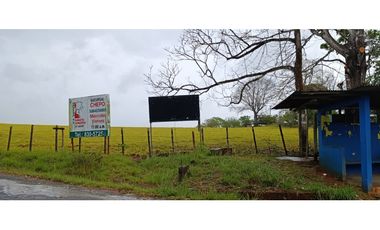 Se Vende Finca Ganadera de 1620 Hectáreas en Cañita de Chepo