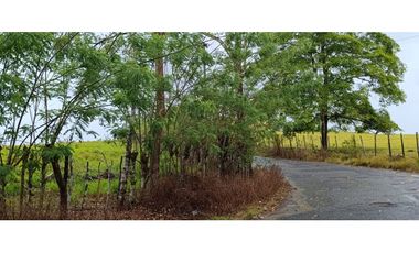 Se Vende Finca Ganadera de 1620 Hectáreas en Cañita de Chepo