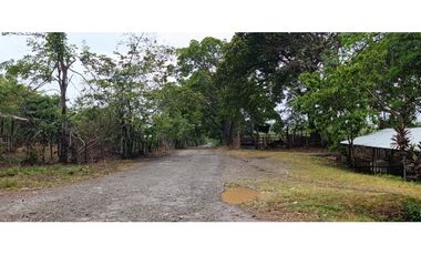 Se Vende Finca Ganadera de 1620 Hectáreas en Cañita de Chepo