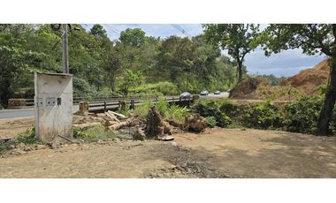 Se Vende Terreno de 1 Hectárea Via Transístmica-San Vicente