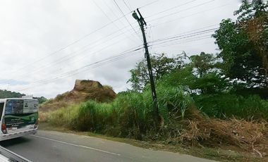 Se Vende Terreno Comercial de 5 Hectáreas en Via Transístmica-Milla 13